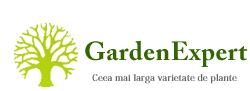 Garden Expert